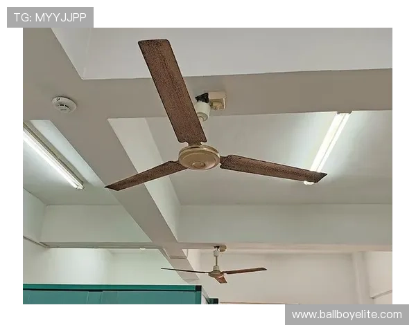 凯发k8手机网页的安全保障措施，确保每一位玩家的资金和个人信息安全无忧